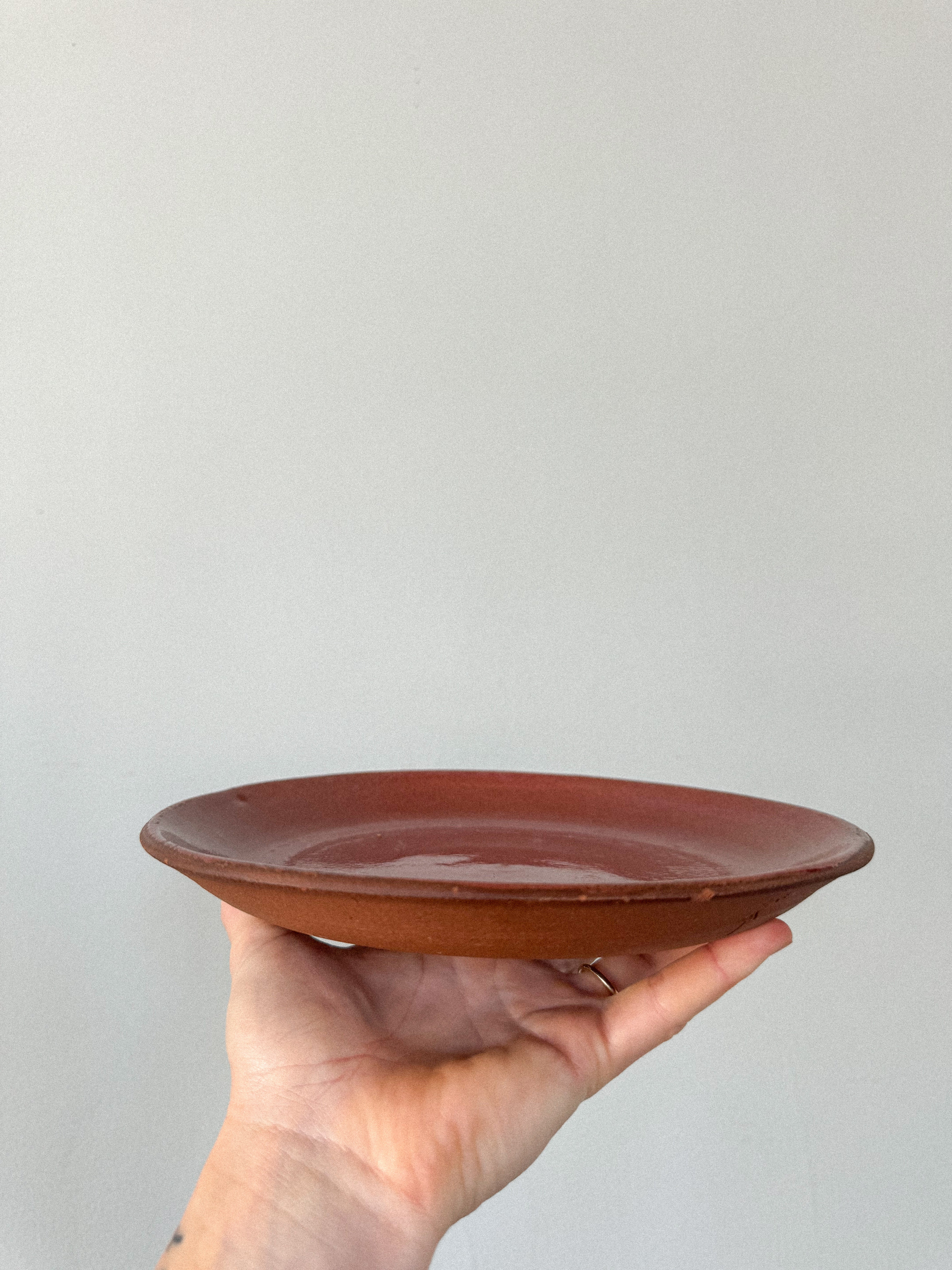 Salsa Salad Plate | Seconds Sale